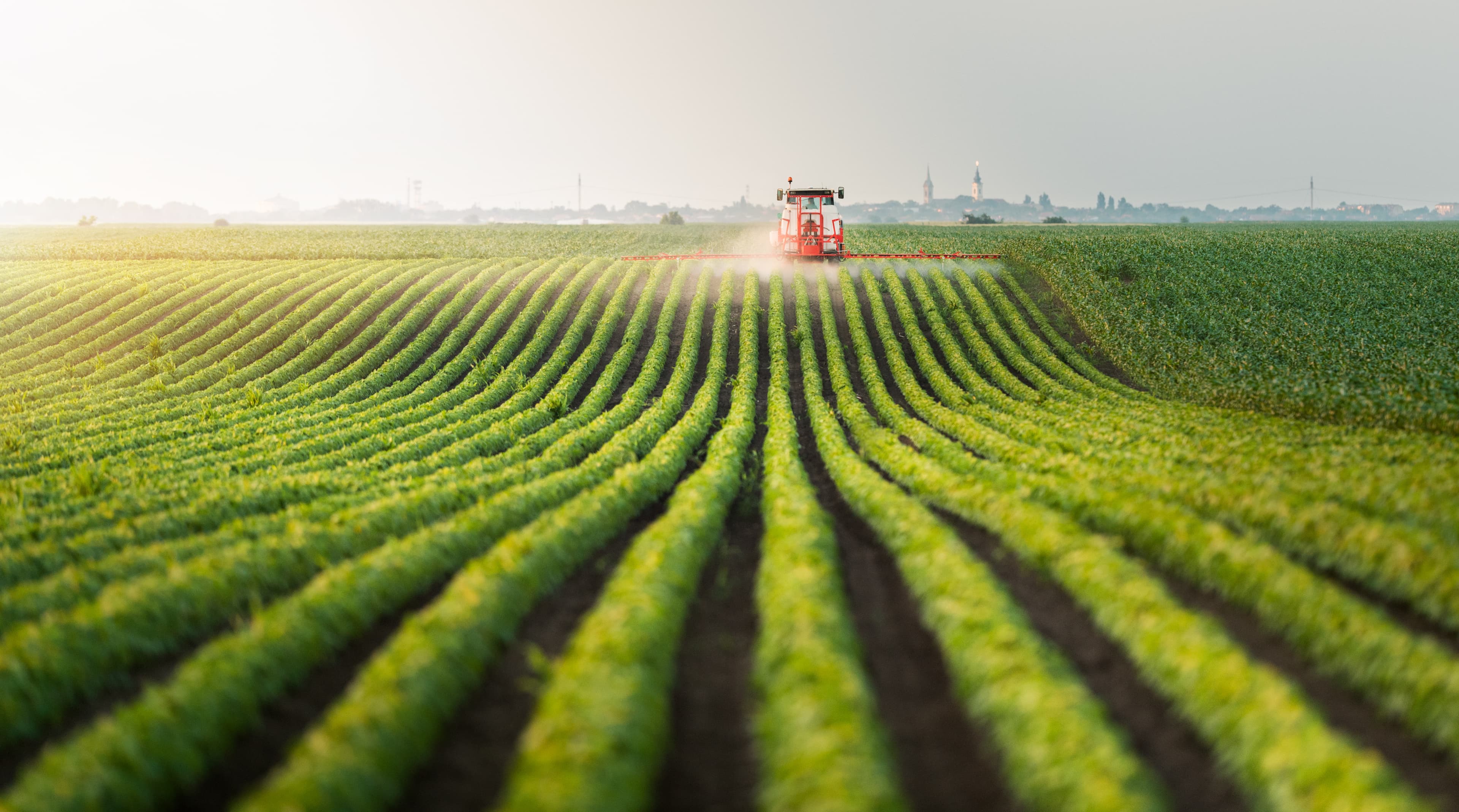 Crop field