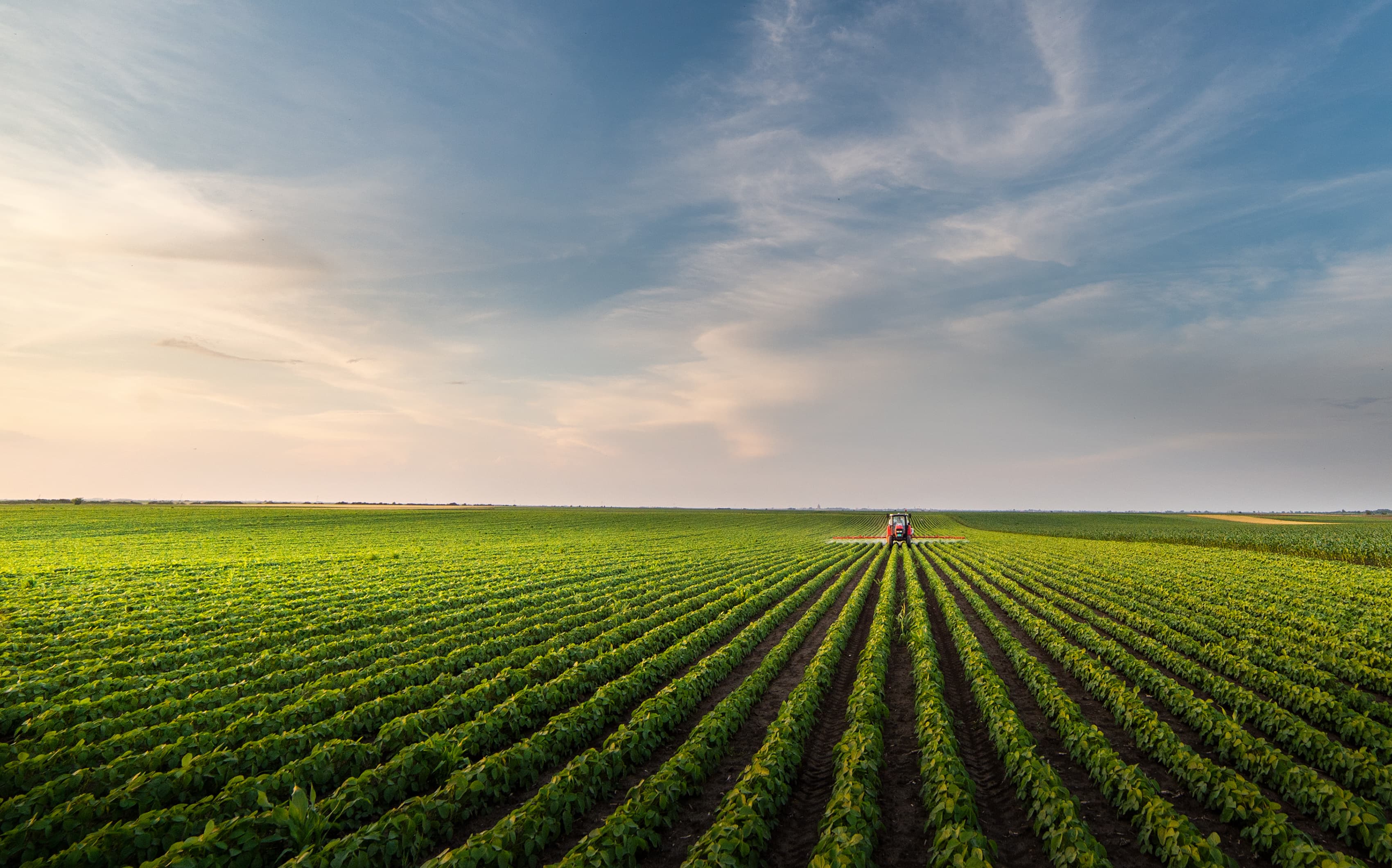 Crop field