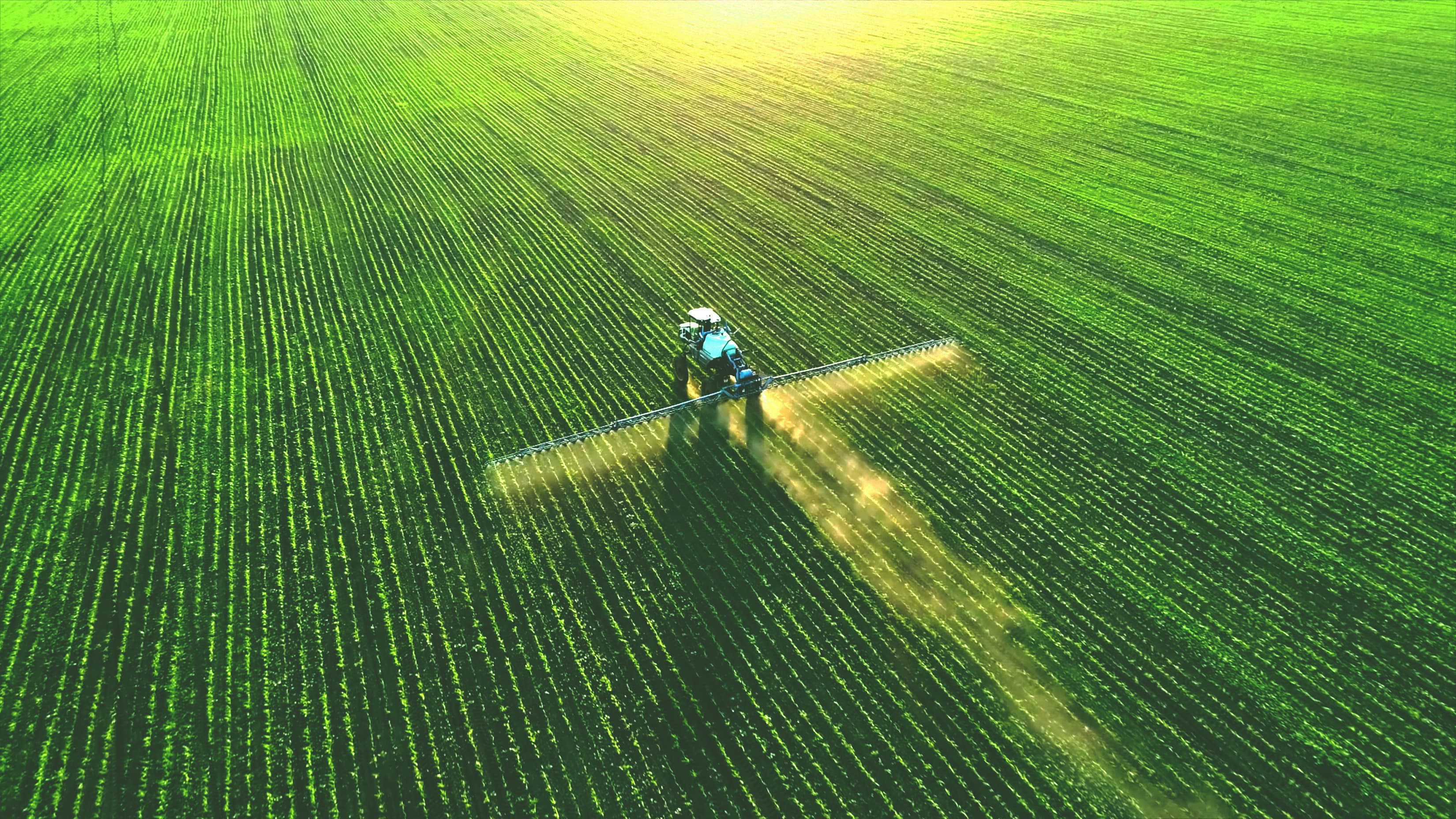 Crop field